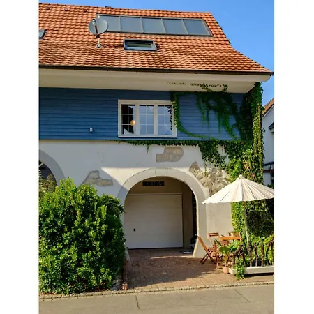 Apartment In The Blue Barn Binzen